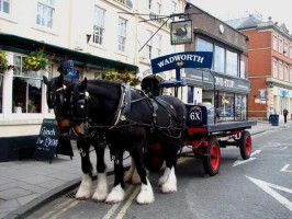 Wadworth Dray, Devizes, Wiltshire Wadworth Dray, Devizes, Jasmine Cottage self catering holiday accommodation, near Bath, Wiltshire
